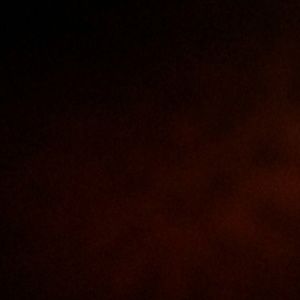 Meet your Posher, Zachary